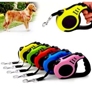 Dog Leash